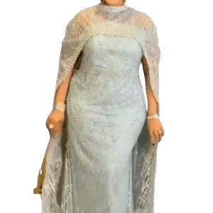 Robe Majestueuse Voilée